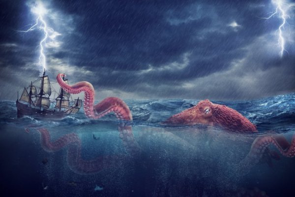 Kraken рабочий